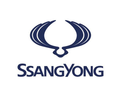 Показать товары в категории SSANG YONG Изображение для категории SSANG YONG