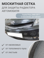 Изображение Москитная сетка радиатора Toyota Prius 2005-2011  2 поколение, рестайлинг